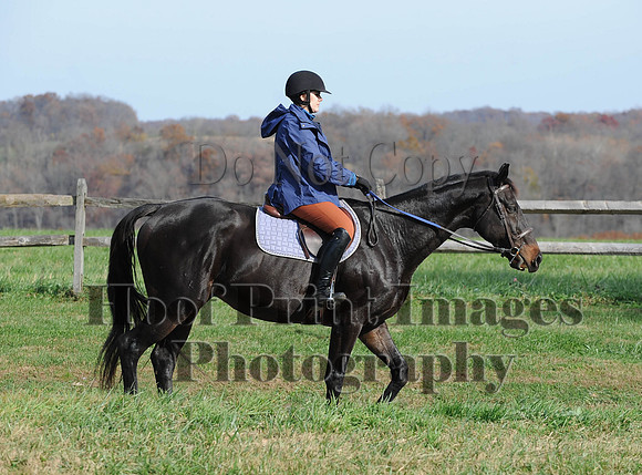 AndrewsBr(11-9-14)0352
