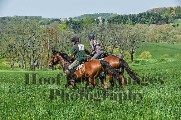 CheshireSpringPC1(4-28-24)0391