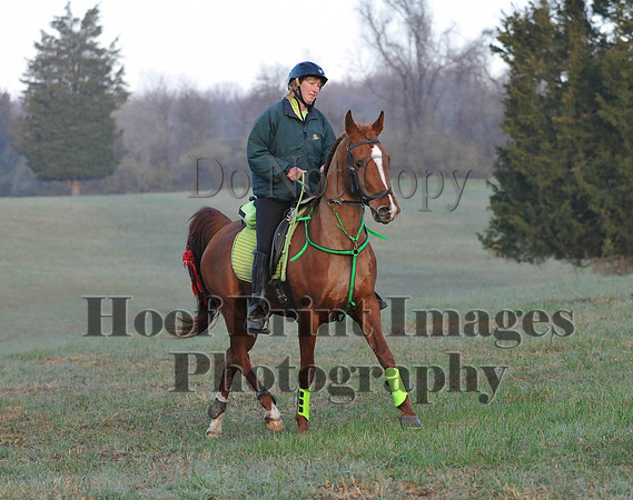 Foxcatcher(4-12-14)0165