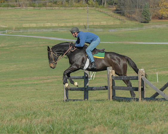 BHPC(11-15-15)0233
