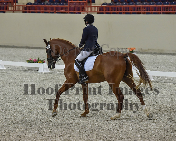 CWdressageII(8-21-16)0253