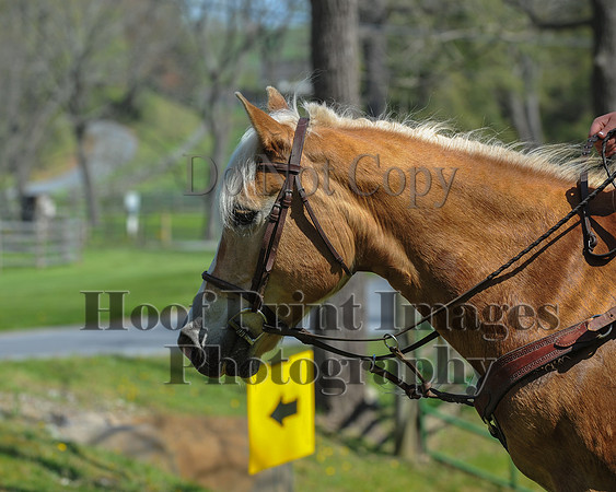 CheshireSpringPC2(4-28-24)0077