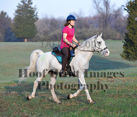 Foxcatcher(4-12-14)0330