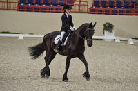 CWdressageI(8-20-16)0043