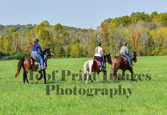 Born2Ride(10-13-24)0079