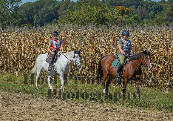 CheshirePonyClubPC(10-6-24)0401