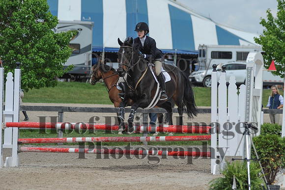 BRSa(5-17-14)0.8mJCl0029