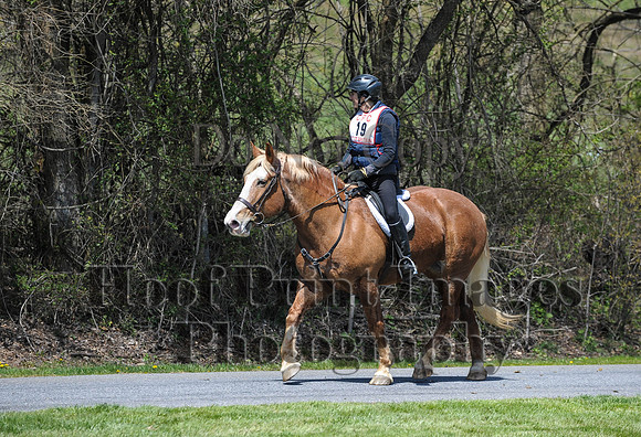 CheshirePC(4-16-16)0376