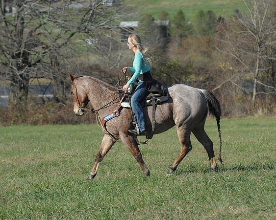 BHPC(11-15-15)0623