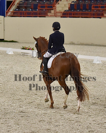 CWdressageII(8-21-16)1992