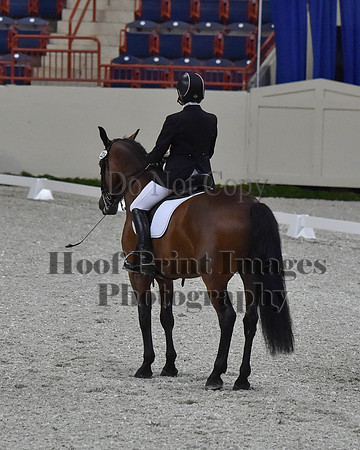 CWdressageII(8-21-16)1604