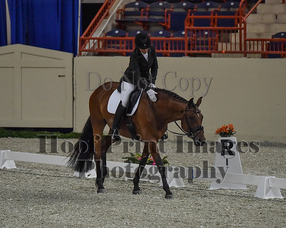 CWdressageII(8-21-16)0166