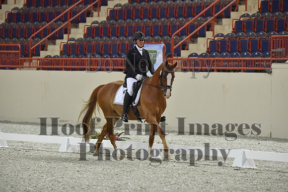 CWdressageI(8-20-16)0518