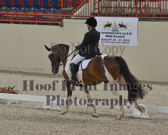 CWdressageII(8-21-16)1088