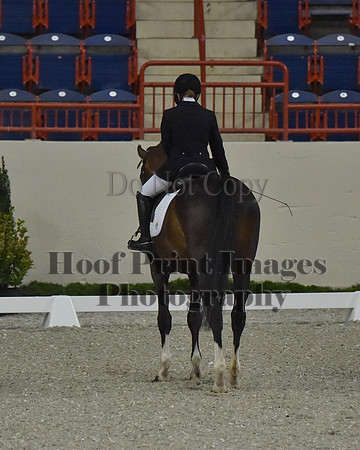 CWdressageII(8-21-16)1487