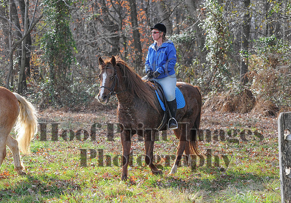 AndrewsBr(11-9-14)0565