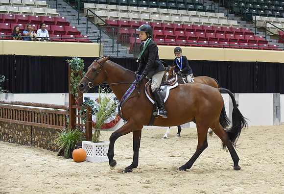 MHSAHtStFinH(9-12-14)0249