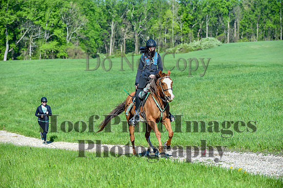 ChesapeakeSpring(4-27-25)0376