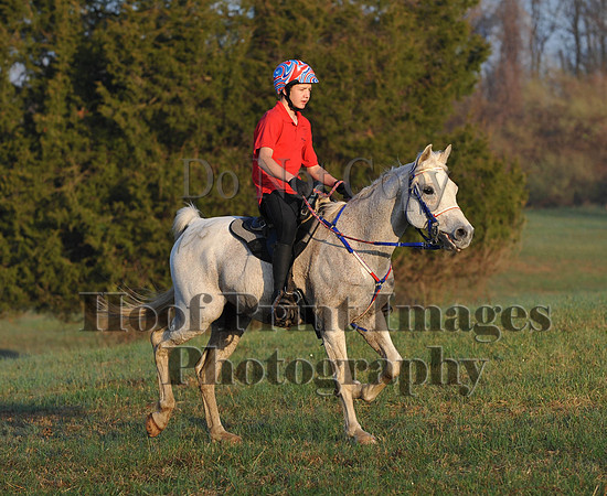 Foxcatcher(4-12-14)0299