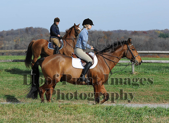 AndrewsBr(11-9-14)0408