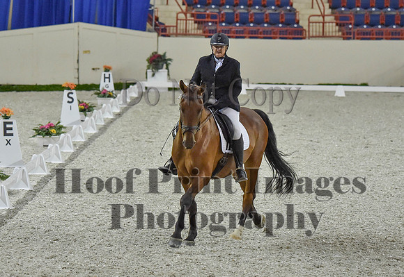 CWdressageI(8-20-16)0226