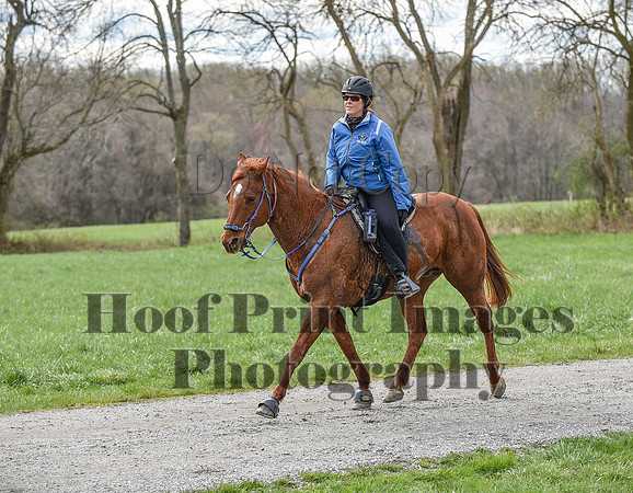 ChesapeakeSpring(4-10-22)0570