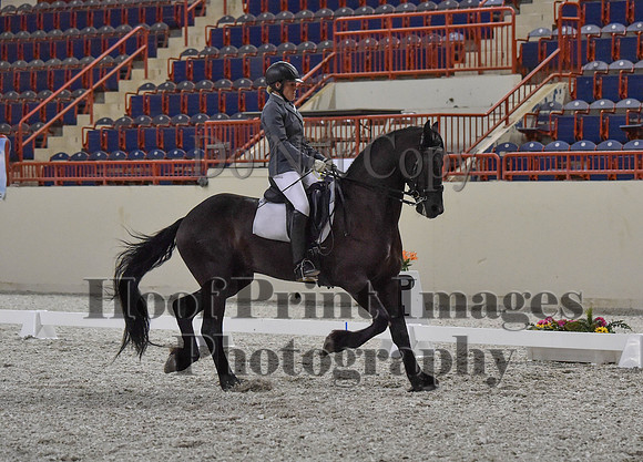 CWdressageI(8-20-16)1219