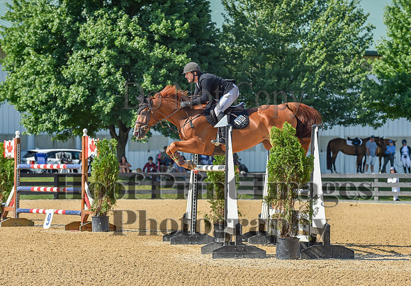 MasonDixonSun1(7-28-24)0225