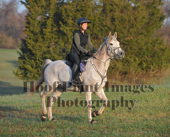 Foxcatcher(4-12-14)0274