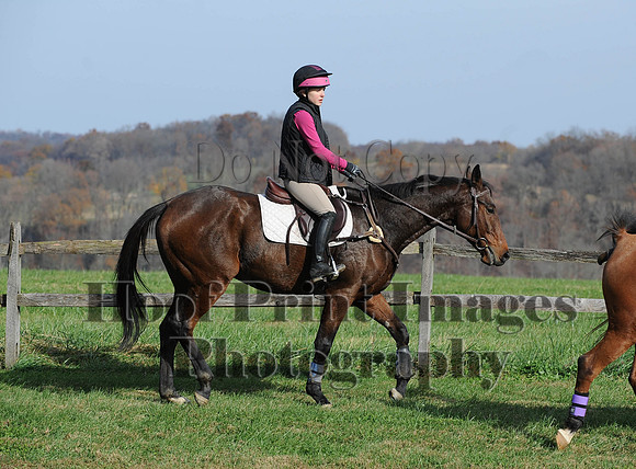 AndrewsBr(11-9-14)0433