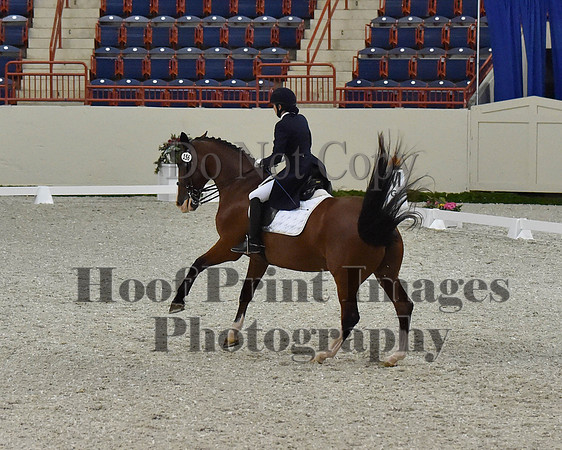 CWdressageII(8-21-16)1756