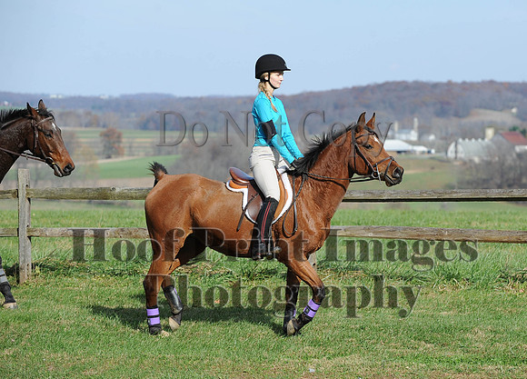 AndrewsBr(11-9-14)0424