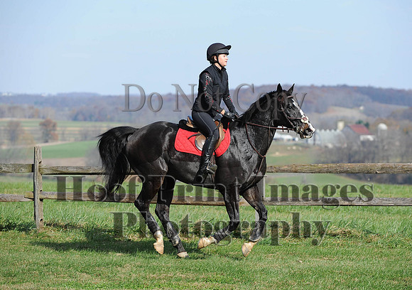 AndrewsBr(11-9-14)0305