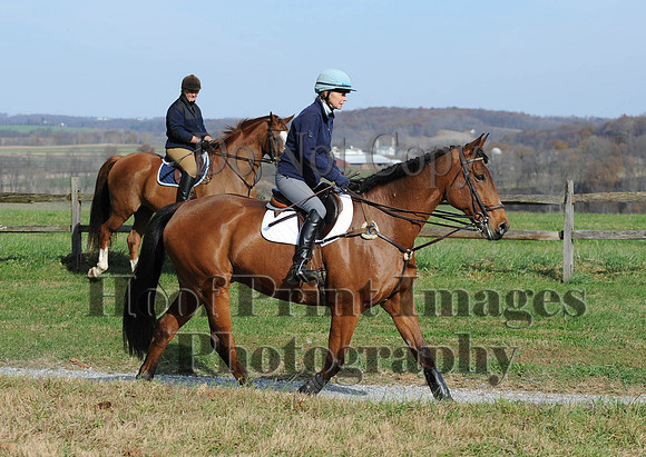 AndrewsBr(11-9-14)0400