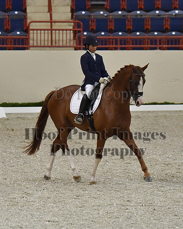 CWdressageII(8-21-16)1996