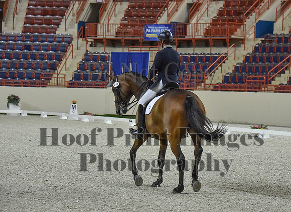 CWdressageI(8-20-16)0473