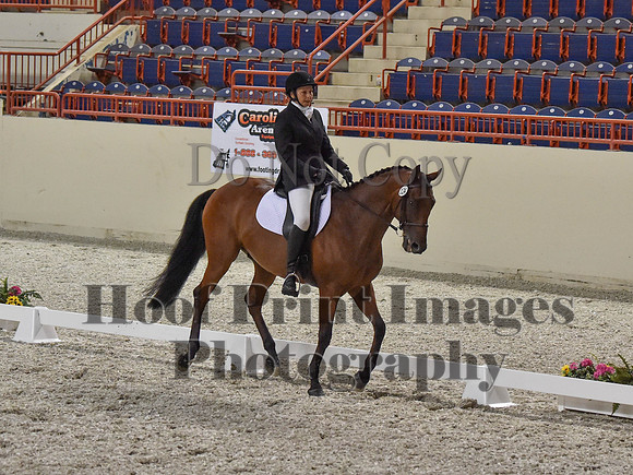 CWdressageI(8-20-16)0371
