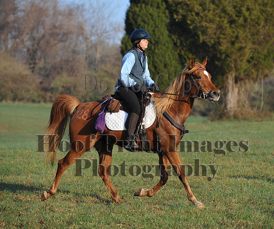 Foxcatcher(4-12-14)0540