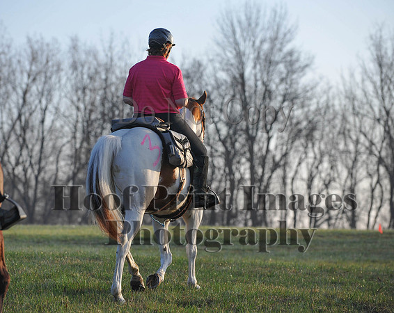 Foxcatcher(4-12-14)0293