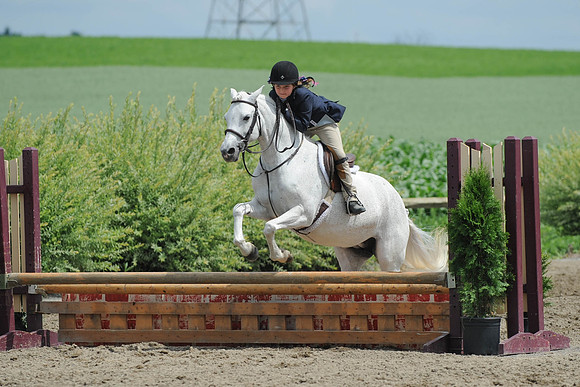 SC(6-28-14)SMPony0090