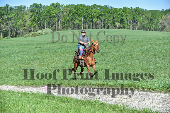 ChesapeakeSpring(4-27-25)0347