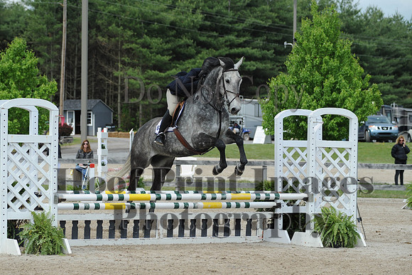 BRSa(5-17-14)0.8mJCl0079