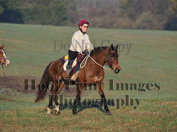 Foxcatcher(4-12-14)0497