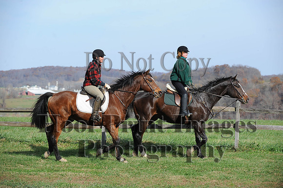 AndrewsBr(11-9-14)0456