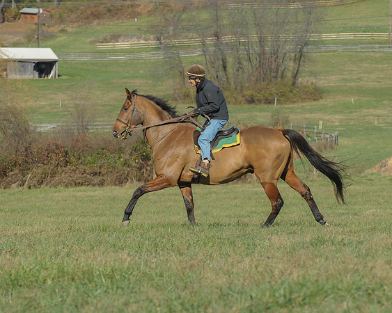 BHPC(11-15-15)0235