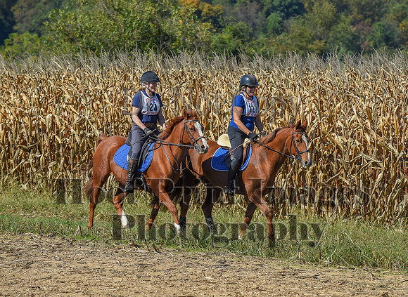 CheshirePonyClubPC(10-6-24)0429