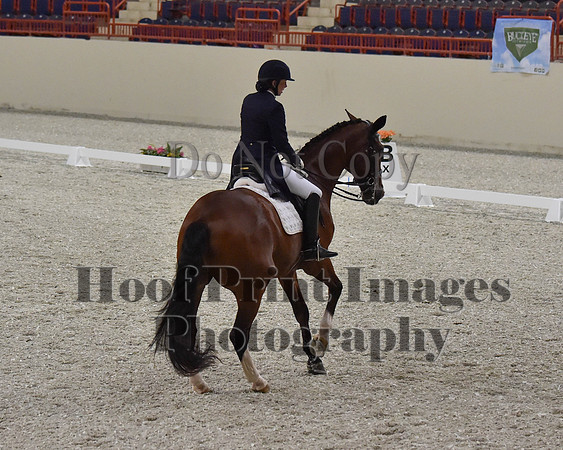 CWdressageII(8-21-16)1749