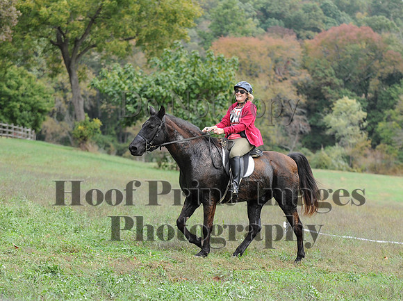 CheshirePC(10-16-16)0536