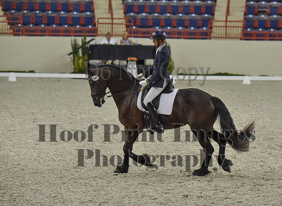 CWdressageI(8-20-16)0285