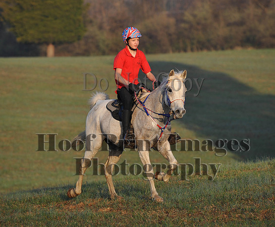 Foxcatcher(4-12-14)0295
